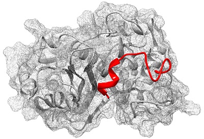 A Beginner's Guide to Molecular Dynamics Simulations