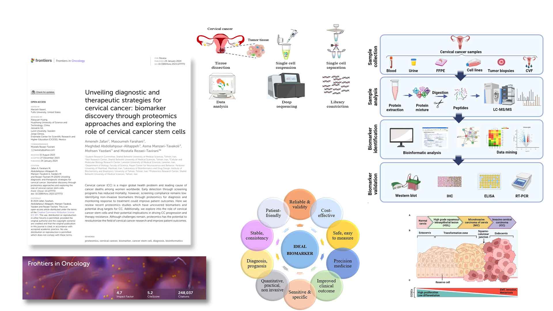 Unveiling diagnostic and therapeutic strategies for cervical cancer:  biomarker discovery through proteomics approaches ...