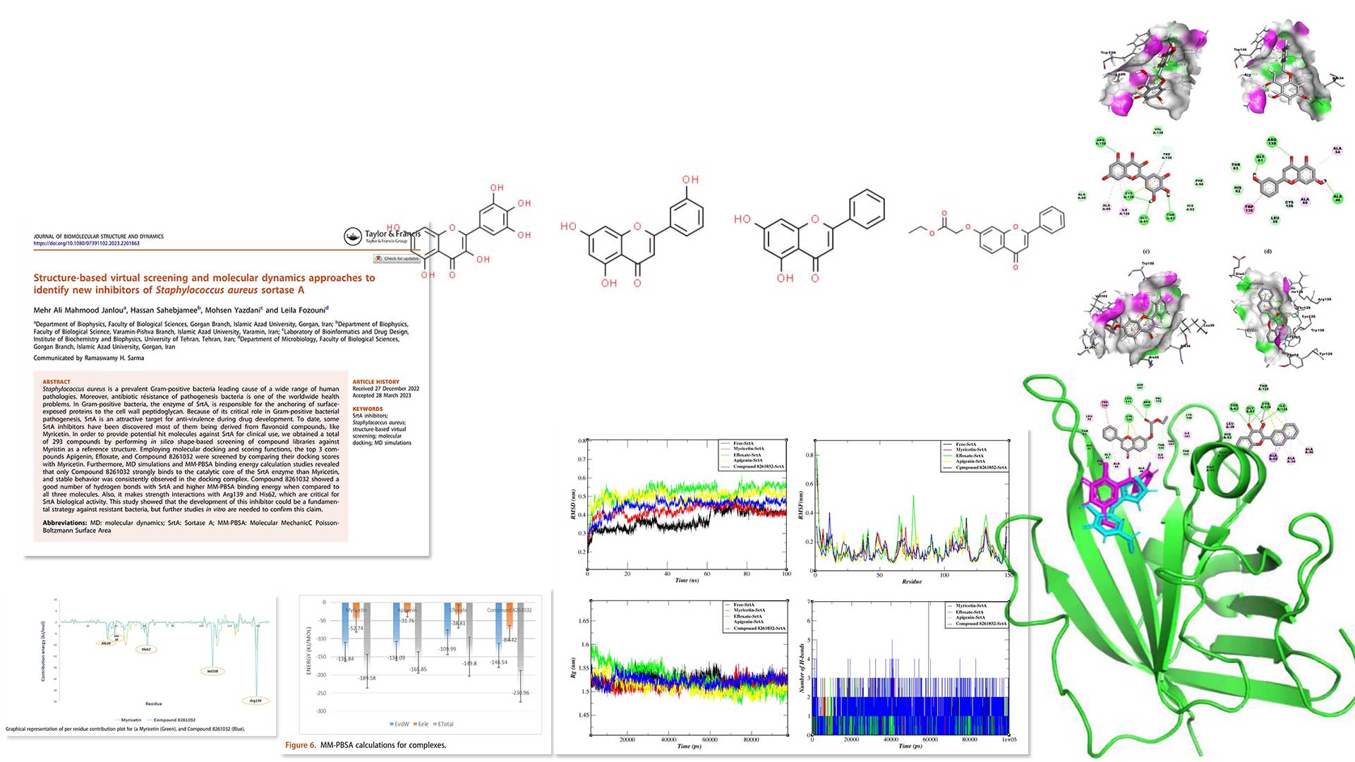 Structure-based virtual screening & MD,new inhibitors of Staphylococcus aureus sortase A
